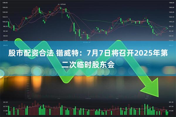 股市配资合法 锴威特：7月7日将召开2025年第二次临时股东会