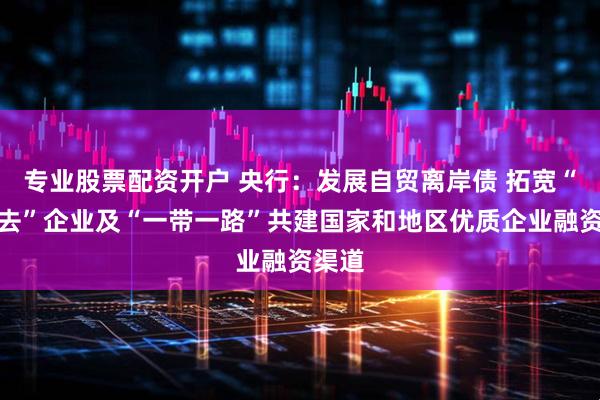 专业股票配资开户 央行：发展自贸离岸债 拓宽“走出去”企业及“一带一路”共建国家和地区优质企业融资渠道